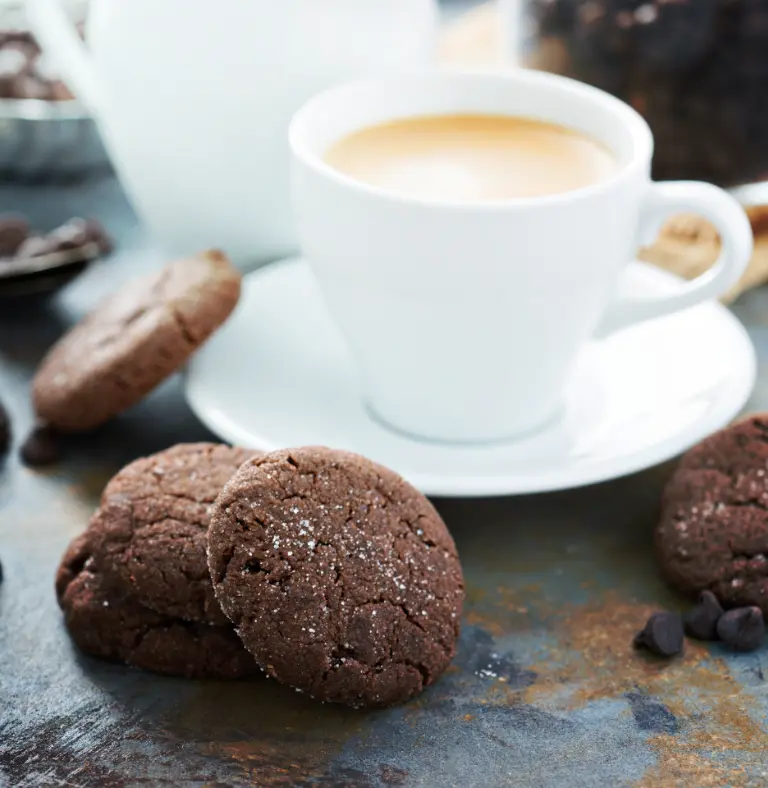 Chocolate Sugar Cookies Recipe